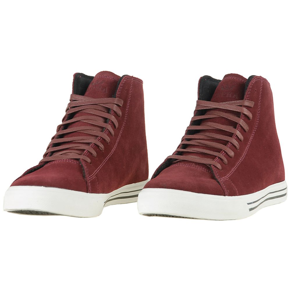 Baskets Montantes Supra Thunder High Bordeaux Burgundy Homme | ZPC-49704810